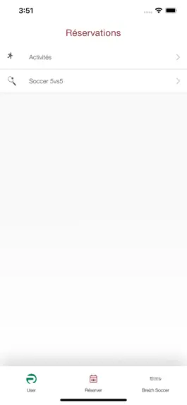 Game screenshot Breizh Soccer hack