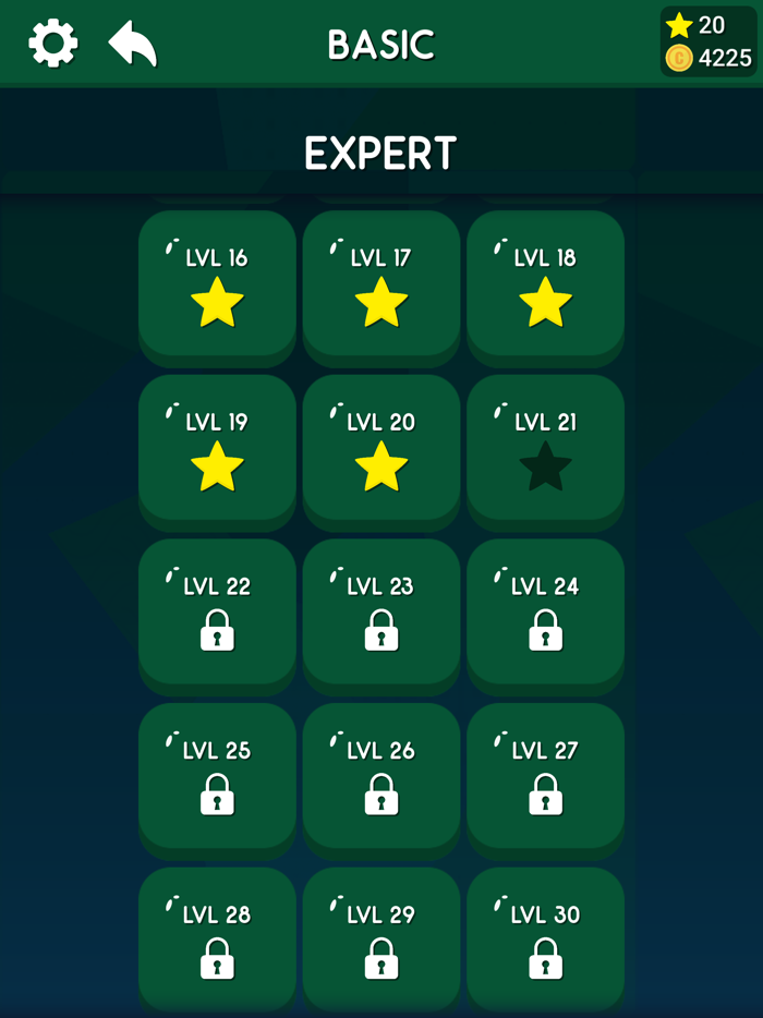 Tangram Match Master Puzzle