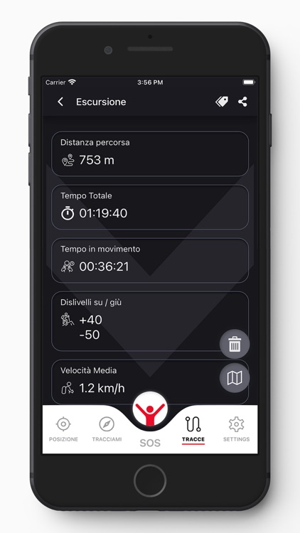 georesq screenshot-3