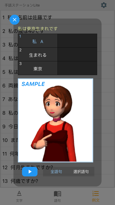 手話ステーション Liteのおすすめ画像8