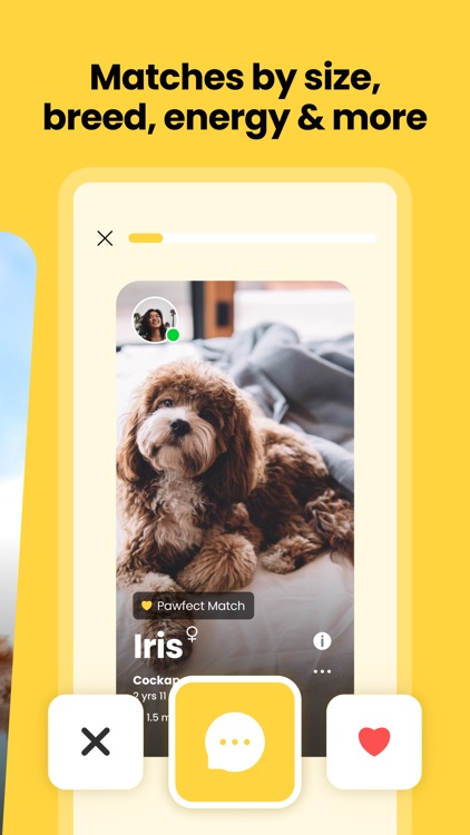 MMDC - PawPal Finder