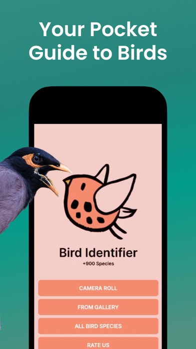 The Bird Identifier App Screenshot