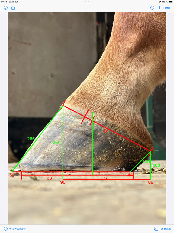 Screenshot #4 pour HoofmApp