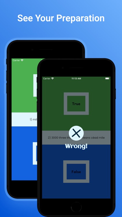 Irish Learning For Beginners screenshot-5