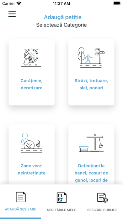 iReport Baia Mare Screenshot