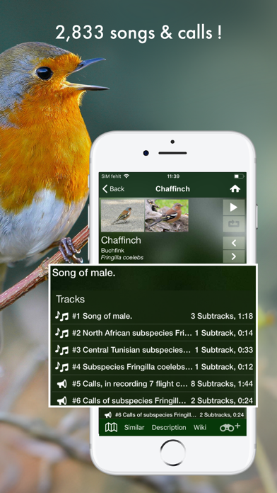 BIRD SONGS Europe North Africa Screenshot