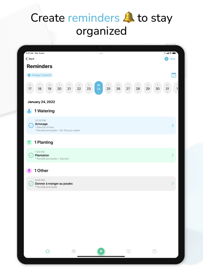 Tomate and Basilic- Permaculture