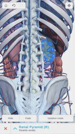 Game screenshot Visual Anatomy 3D - Human apk