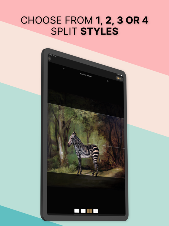 PhotoSplit for X iPad screenshot 3 - Photo & Video app