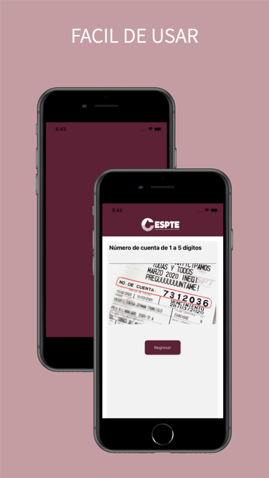 CESPTE Screenshot