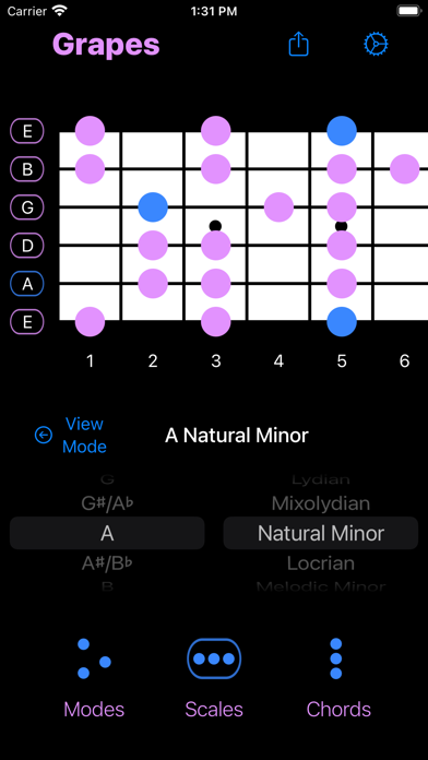 Grapes - Chords & Scales Screenshot