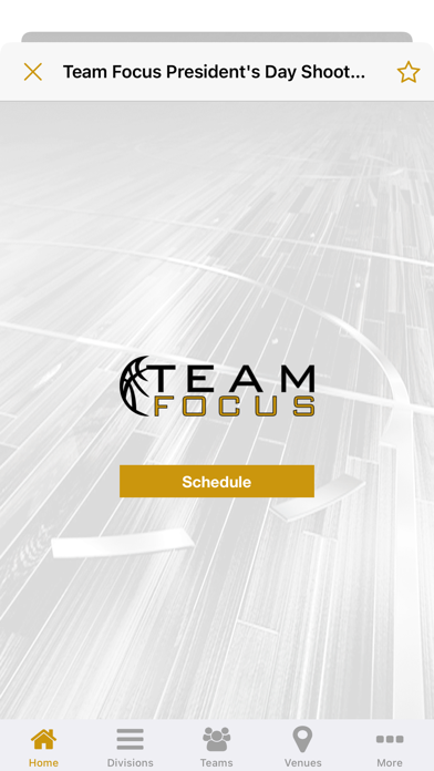 Team Focus Basketball Screenshot
