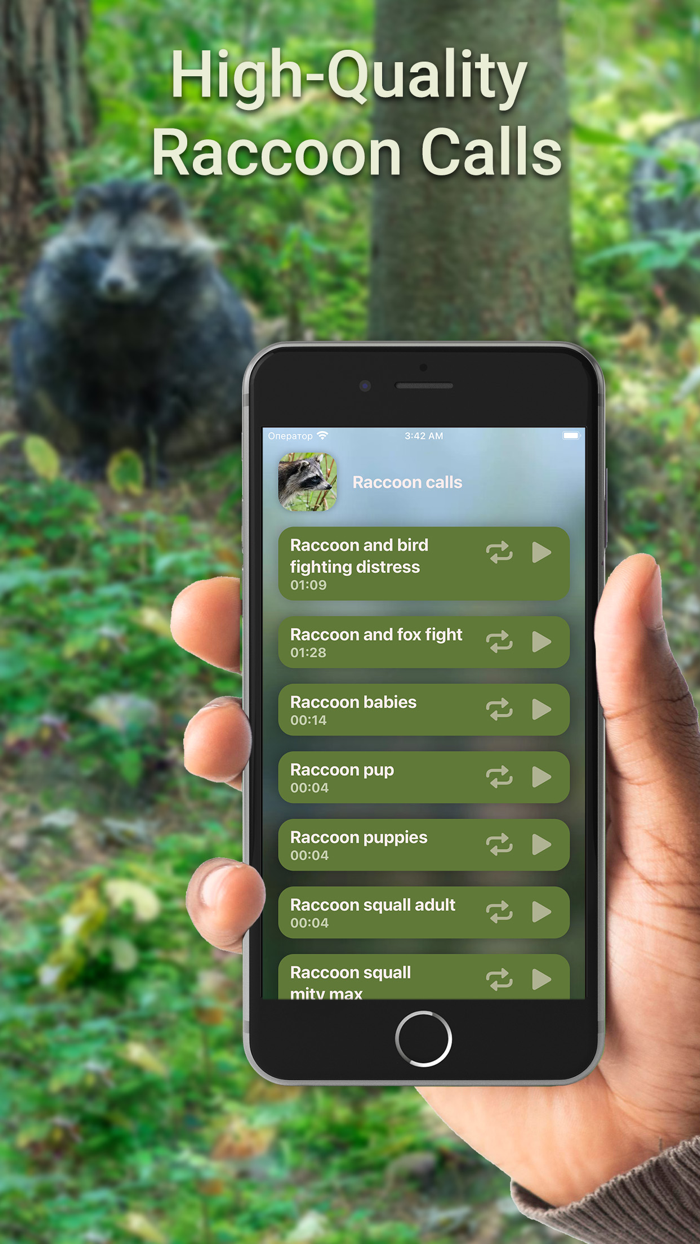 Hunting Calls Raccoon