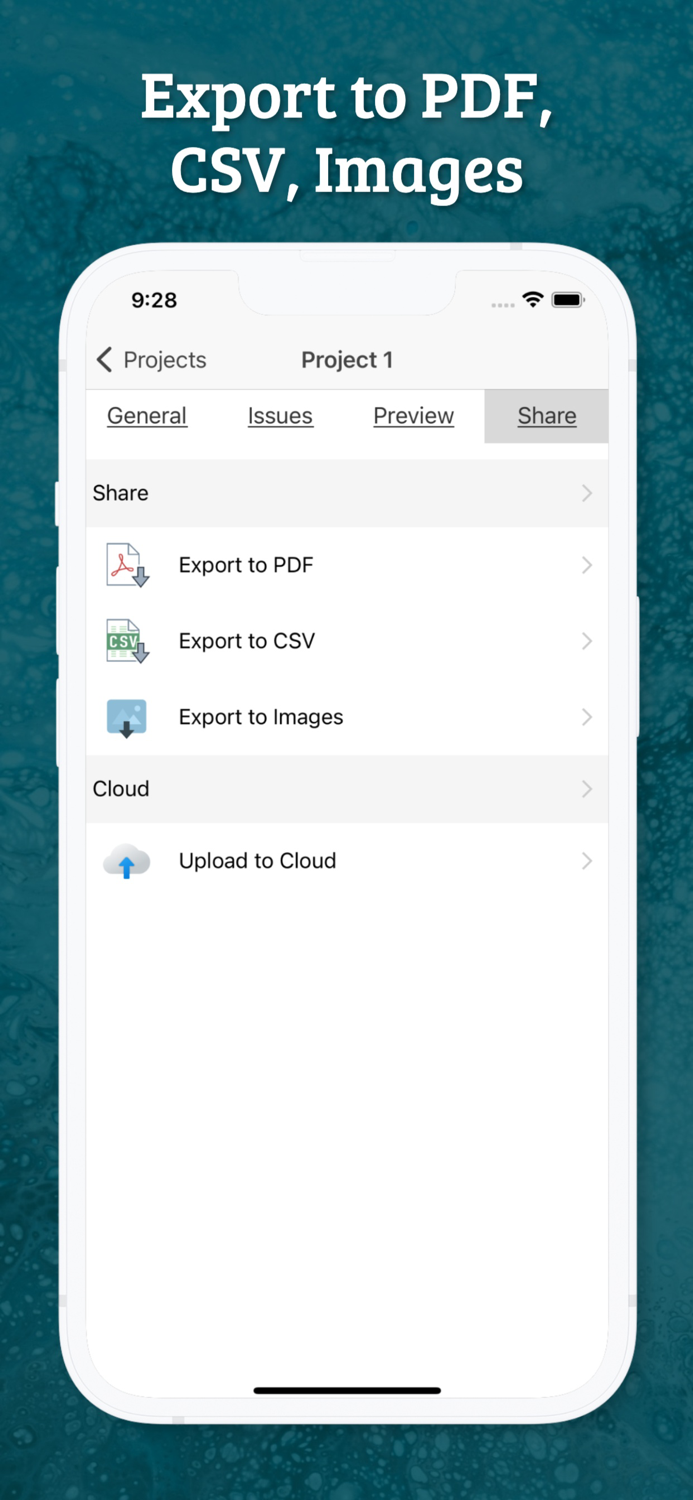 Site Audit - Punch Snag Lists