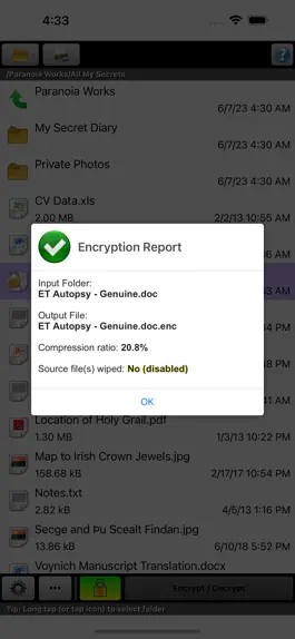 Game screenshot Paranoia File Encryption Lite apk