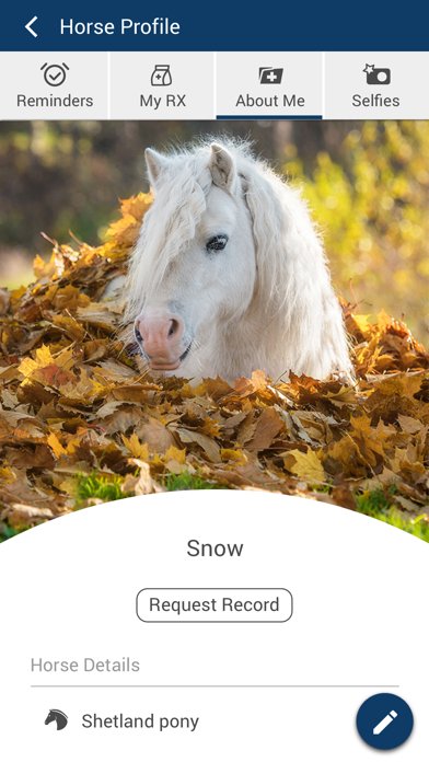 Mandarin Equine Veterinary Screenshot