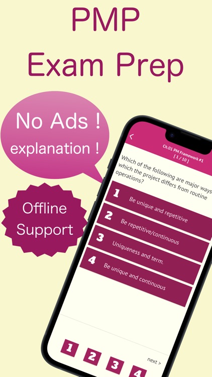 PMP Prep Exam Original