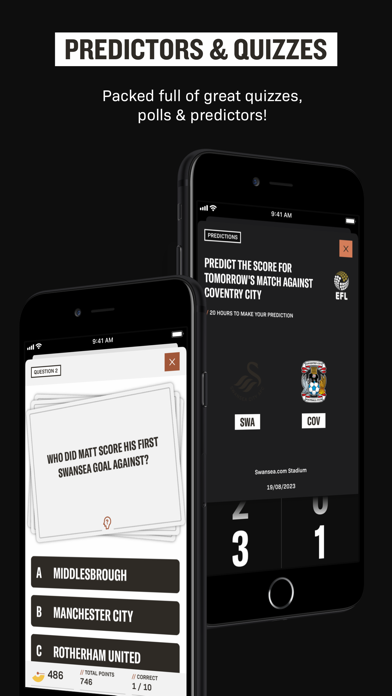 Swansea City Screenshot