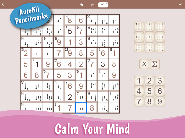 SumSudoku Killer Sudoku