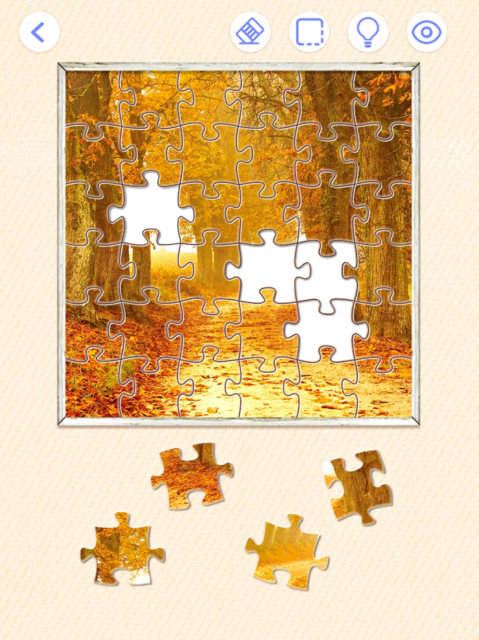 Jigsaw Puzzles .