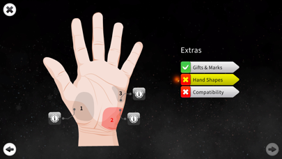 Palm Reading Premiumのおすすめ画像9