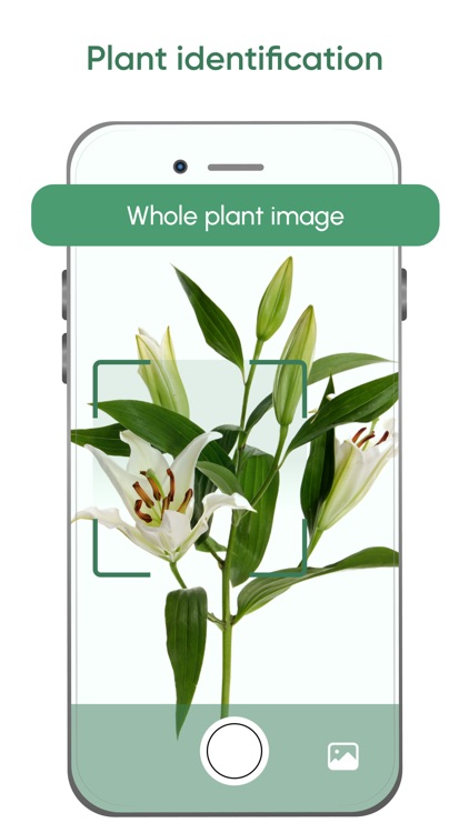 AI Plant Care - Plant Identify