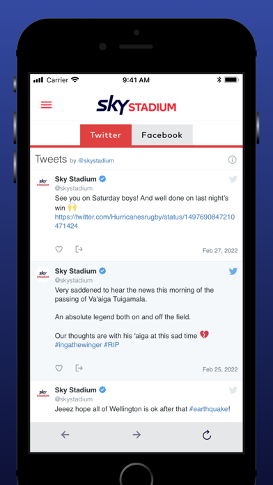 Sky Stadium Screenshot