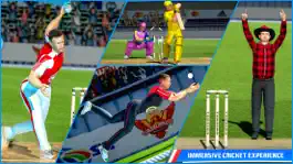 Game screenshot Cricket Stars Cricket Game apk