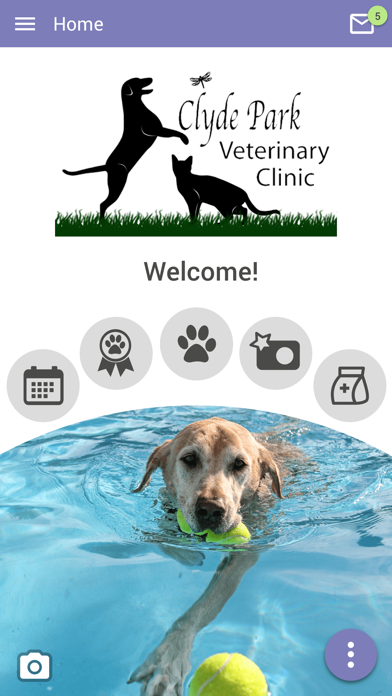 Clyde Park Veterinary Clinic Screenshot