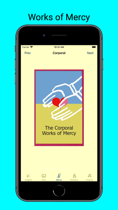 Chaplet of the Divine Mercy Screenshot