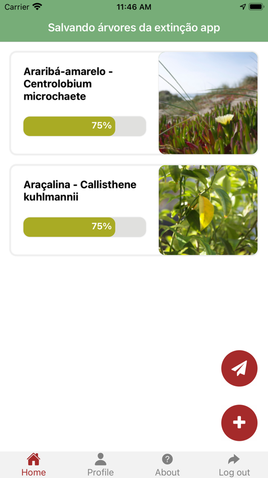 #1. The Un-Endangered Forest (iOS) 由: Novo Fogo