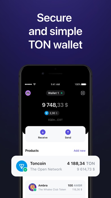 Tonhub — TON wallet Screenshot