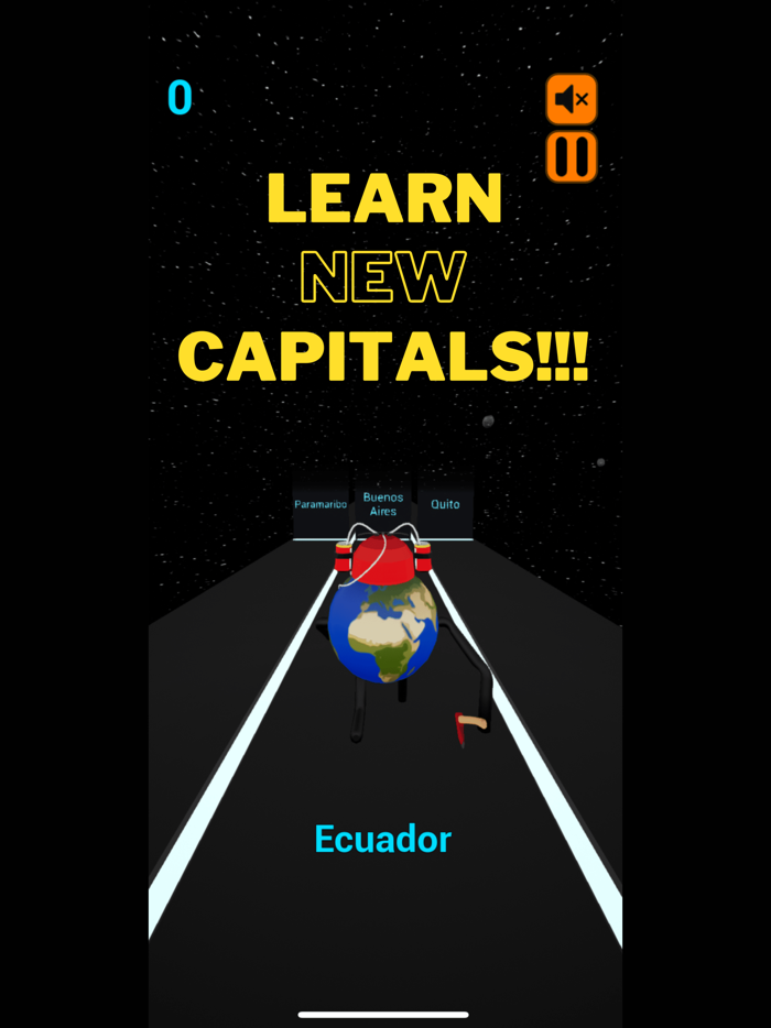 World Runner Flags and Capitals