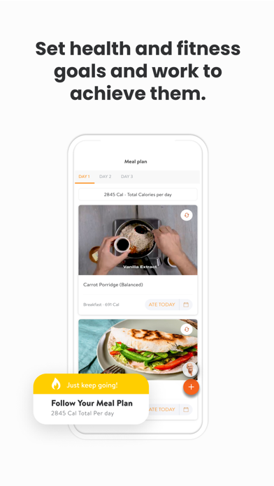 CHIZL Screenshot