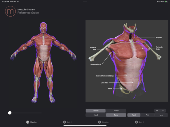 Screenshot #6 pour Human Anatomy Study Guide
