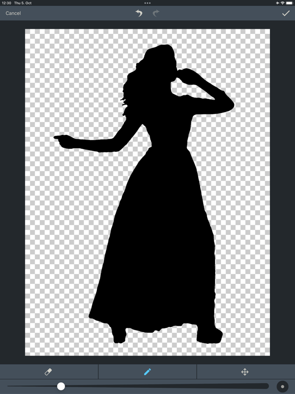 Silhouette AI iPad screenshot 9 - Photo & Video app