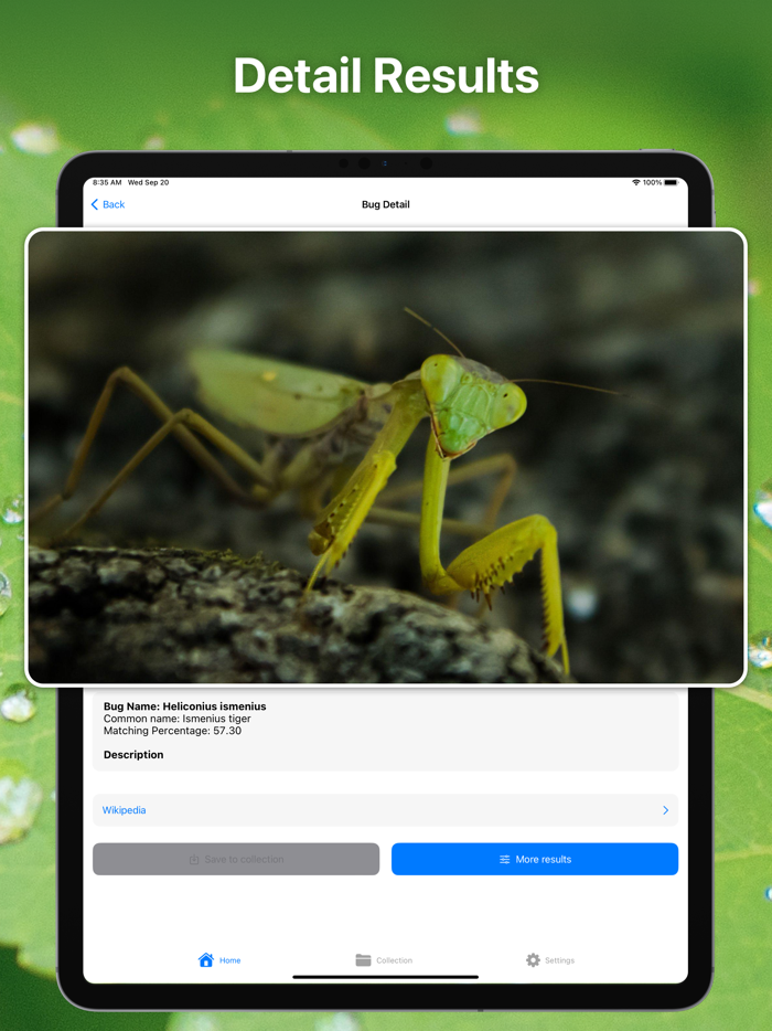 Bug Identifier Insect Id