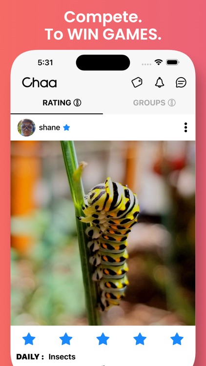 Chaa - Social Media Gamified