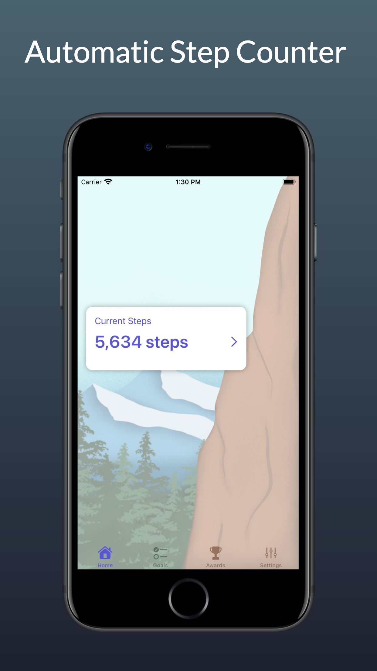 Pedometer - Daily Step Counter