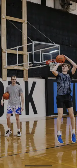 Game screenshot Heyen Hoops mod apk