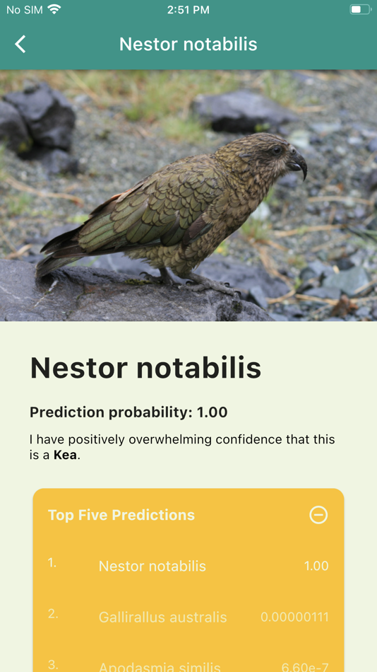 #2. Aotearoa Species Classifier (iOS) 由: WaikatoLink Limited