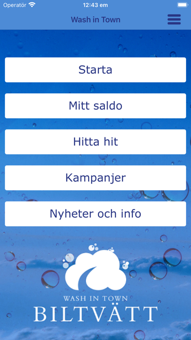 Wash in Town Screenshot