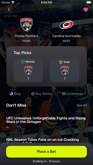 Sports Bros Screenshot