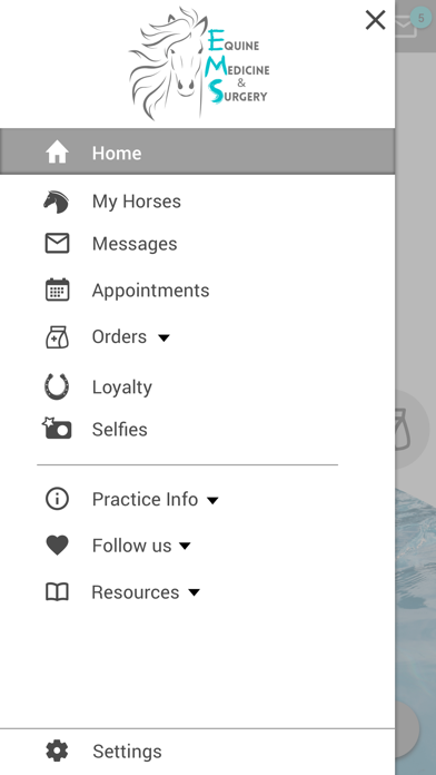 Equine Medicine and Surgery Screenshot