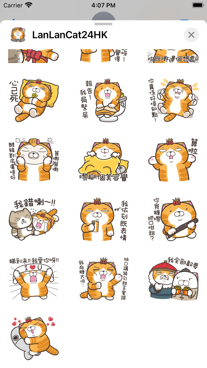 白爛貓 24 一朵美麗的阿花 HK