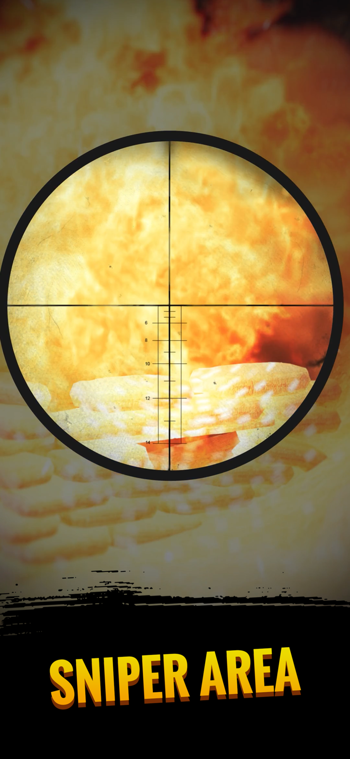 Sniper Area Gun shooting