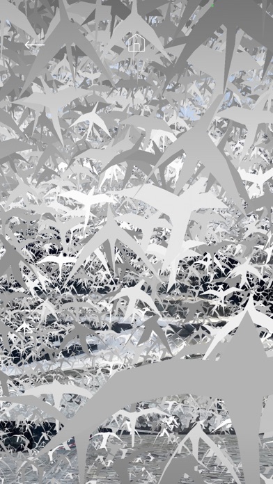Les oiseaux de la Philharmonie Screenshot