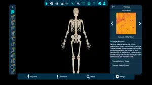 Vesalii Anatomy Student screenshot 4