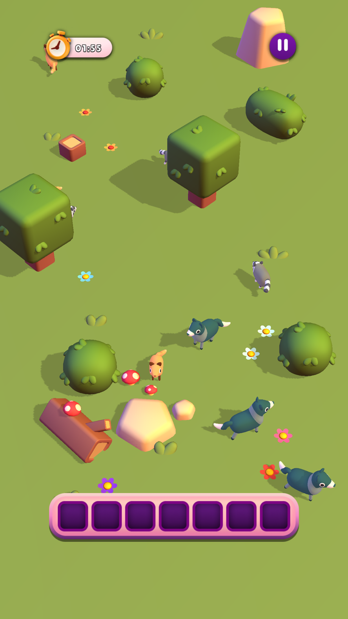 Wild Match - Puzzle Challenge