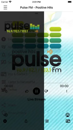 Pulse FM. screenshot 2